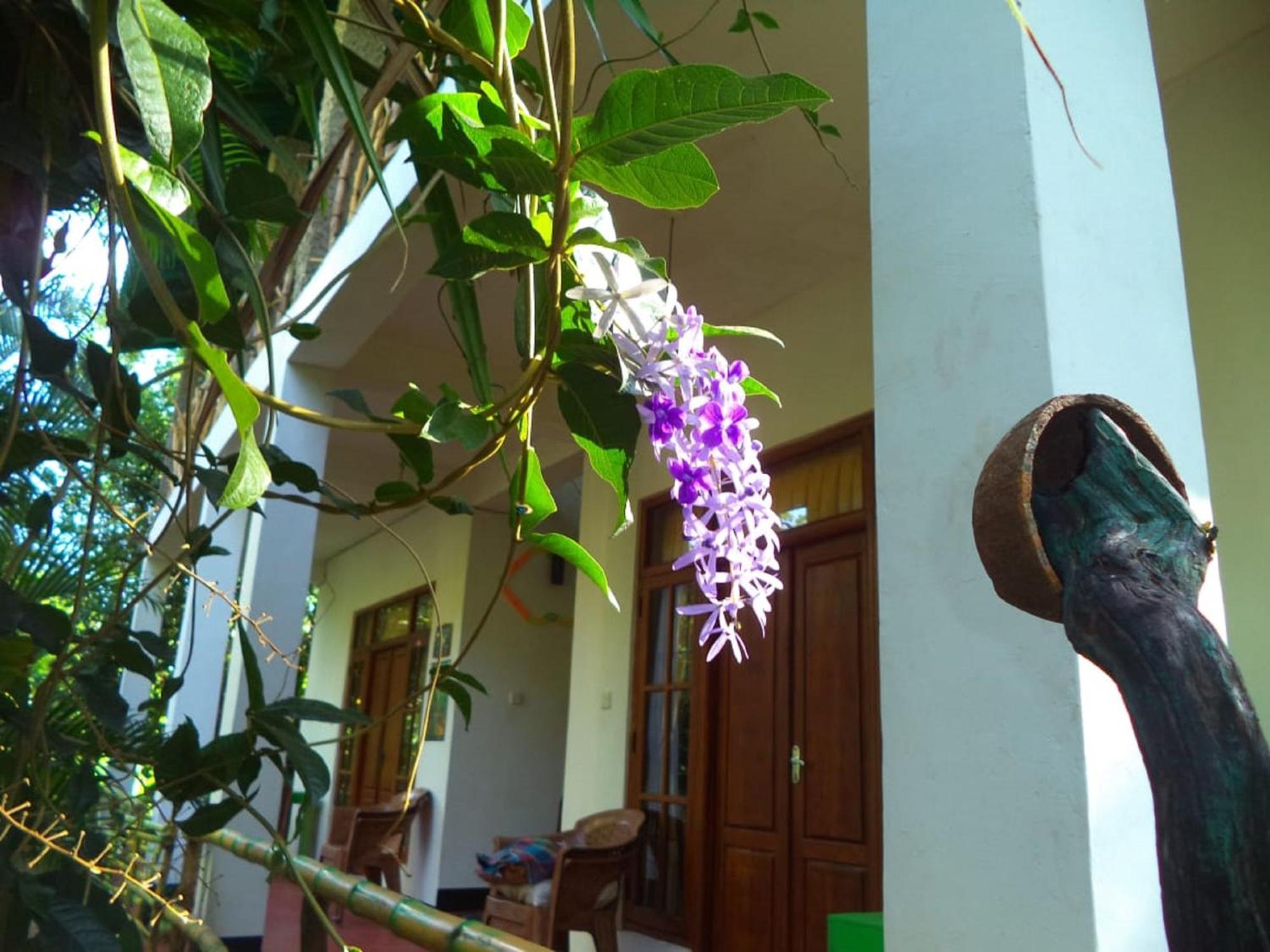 N S K Green Villa Σιγκιρίγια Εξωτερικό φωτογραφία
